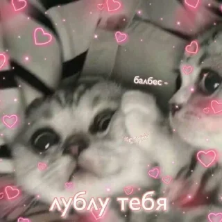 💓