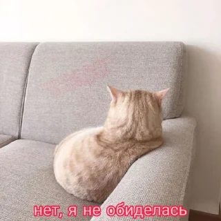 😒