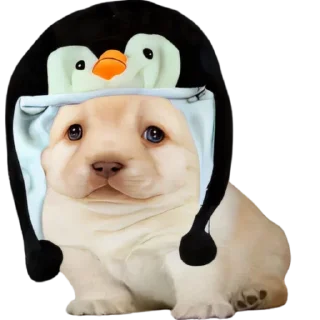 😃