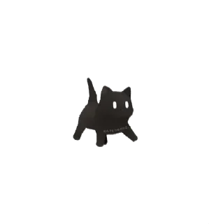 🌟