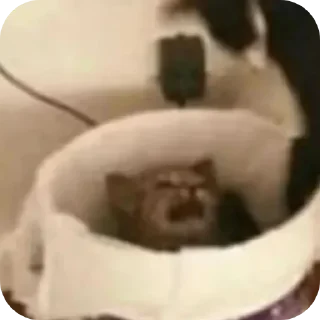 😭