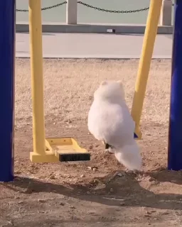 ☹️