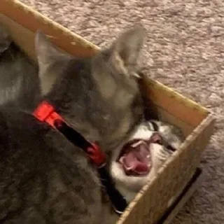 😫