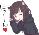 😽
