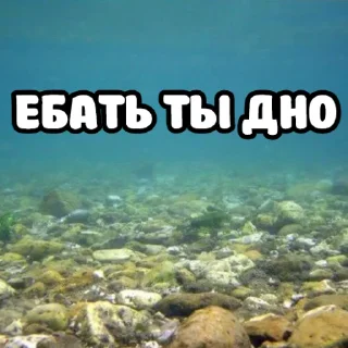 😉