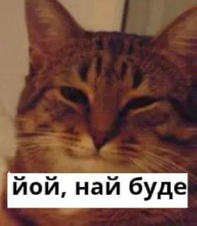 йой, най буде @ukrainiatrash