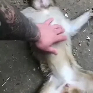 😡