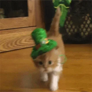 🐾