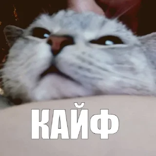 🔝