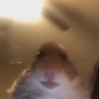 🧍‍♀️