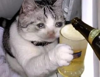 😭