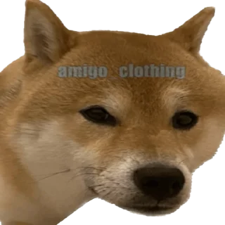 🫤