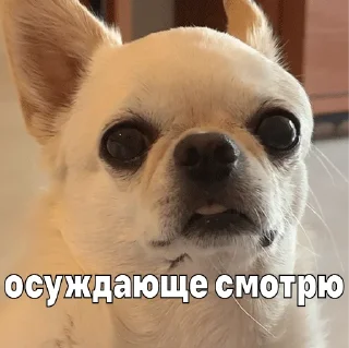 🤨