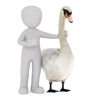 🦆