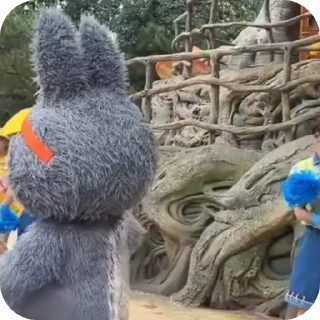 🧦