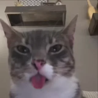 😱