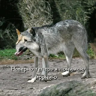 😕