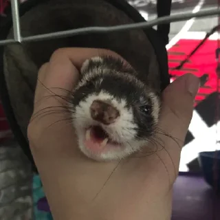 🤲