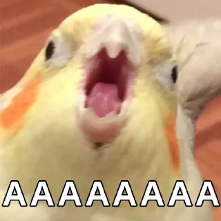 😱