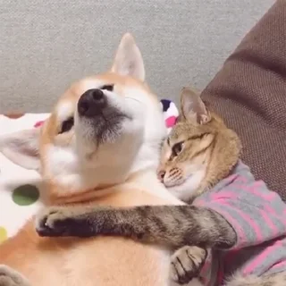 🤗