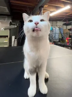 😛