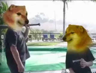 🏏