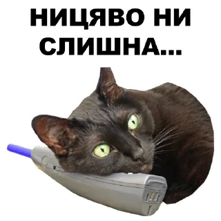 😠
