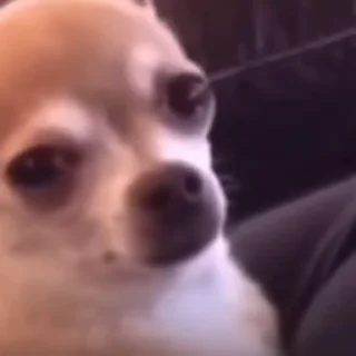 😢