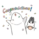 🎉