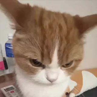 😡