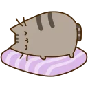 😴