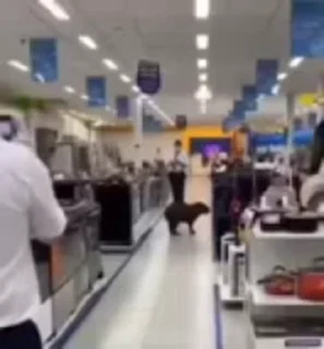 🤫