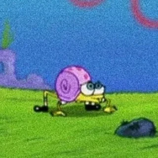 🧽