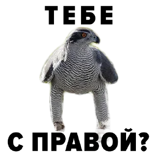 😎