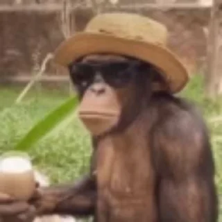 😎