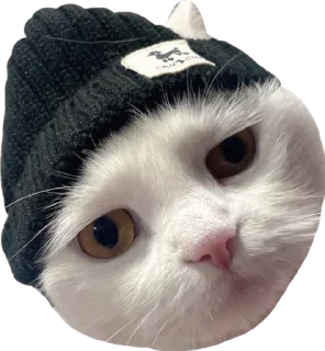 💂‍♀️