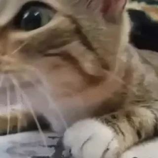 😦