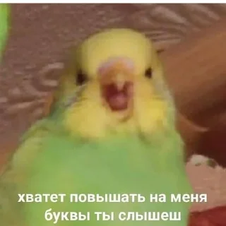 😠