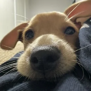🤪