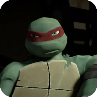 🐢