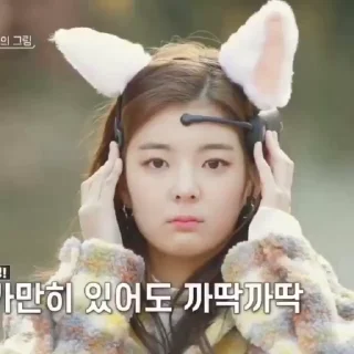 😺