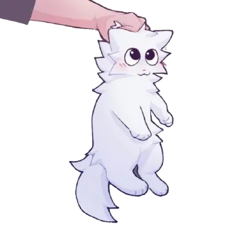 😺