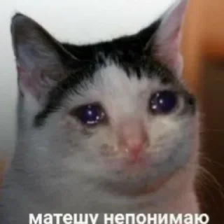 🥺