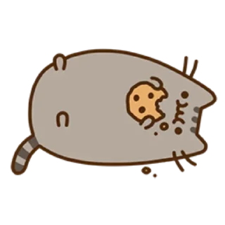 🍪