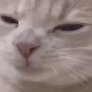 😕