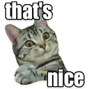 👍