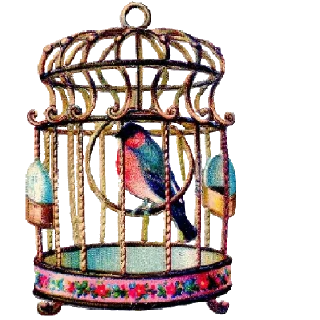 🐦
