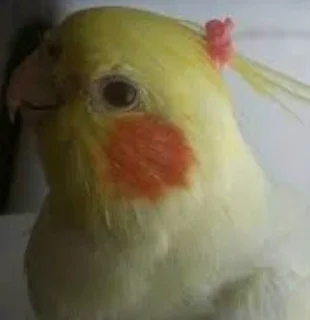 👧