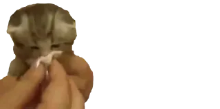 🤧