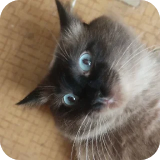 😳